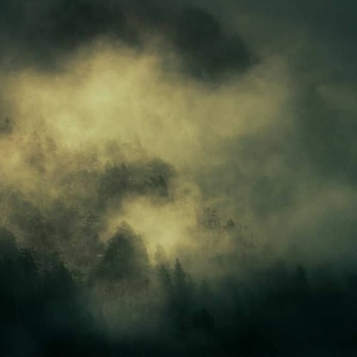 Lett Records Podcast VI - The Unknown Psychologist