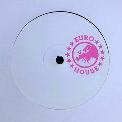 UNKNOWN ARTIST - EURO HOUSE - II [EURO DANCE VOL 1]