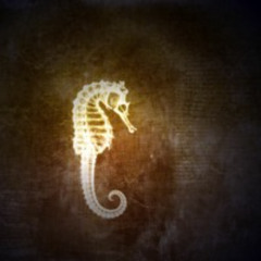 pura pura lupa (Korean Ver)