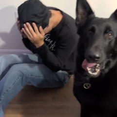 (whotfis2k) fck united airlines [p. srrw]