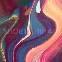 short trip 4