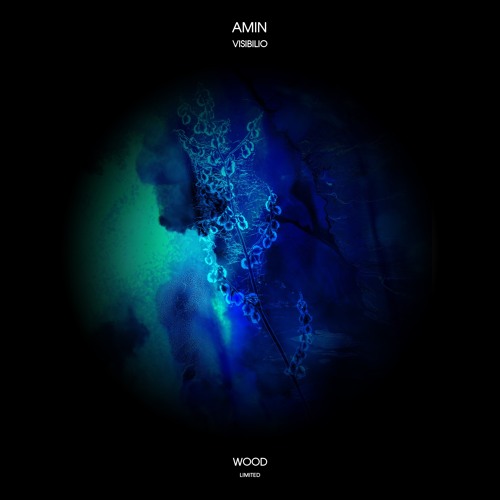 PREMIERE: Amin - Onnipotenza (Original Mix) [Wood Limited]