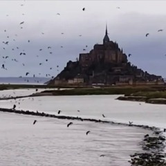 Gated (feat. Hector Vae) by Cisneros