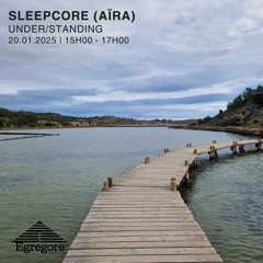 UNDER/STANDING - Sleepcore (Janvier 2025)