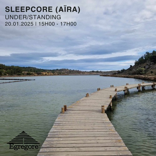 UNDER/STANDING - Sleepcore (Janvier 2025)