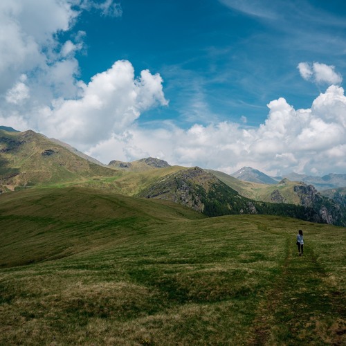 Grassy Field Area