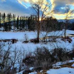 Coyotes by the Kettle River (February 19, 2022)