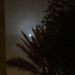 اللي معك ذكرى ، عسى الله لا يرجعها