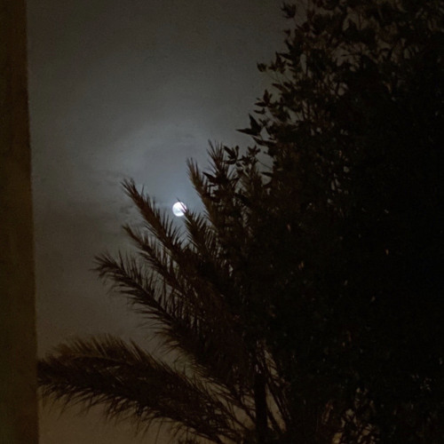 اللي معك ذكرى ، عسى الله لا يرجعها