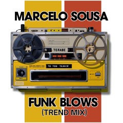 Marcelo Sousa - Funk Blows (Willis´s Funk Mix)