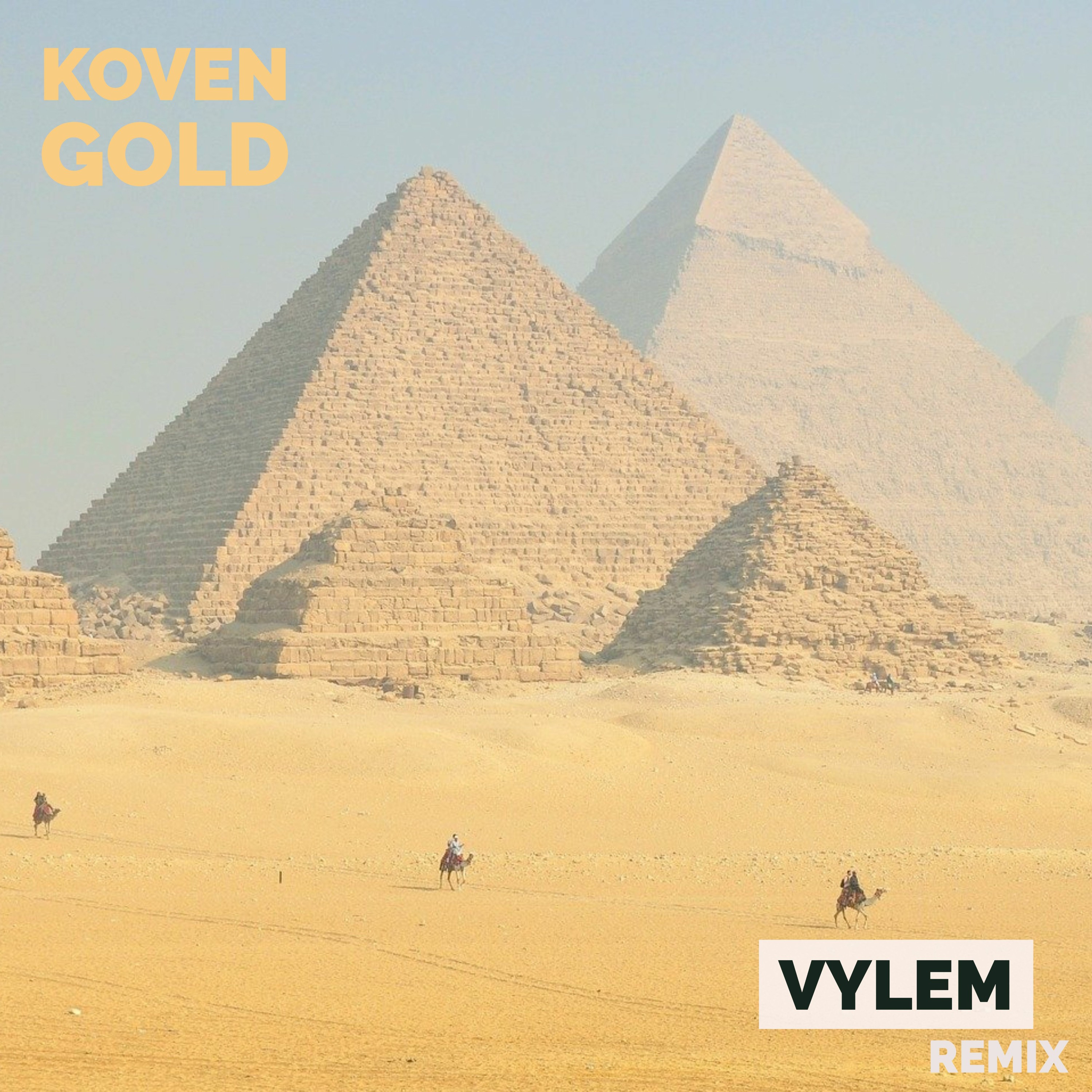 VYLEM