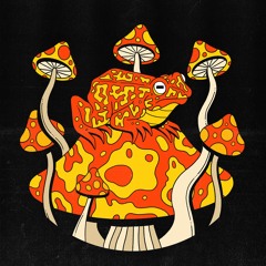 Matrefakt - Band Of Acid EP - AS003 CLIPS