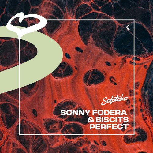 Sonny Fodera & Biscits - Perfect
