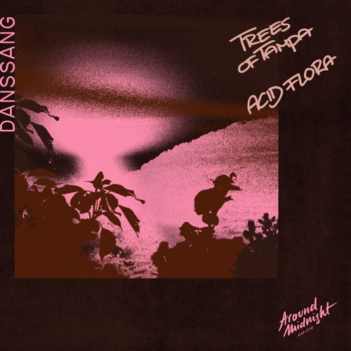 AM016 - Trees Of Tampa - Danssang (Original Mix)