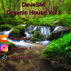 Vol 2 Organic House 01.01.2025