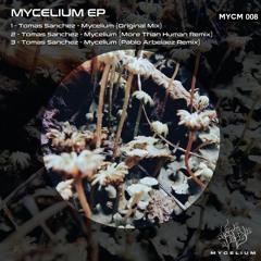 Tomas Sanchez - Mycelium (More Than Human Remix)