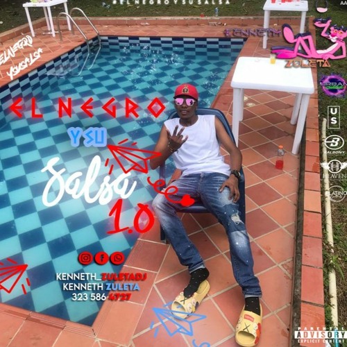 Stream EL NEGRO Y SU SALSA 1.0 by Listen online