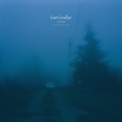 last goodbye
