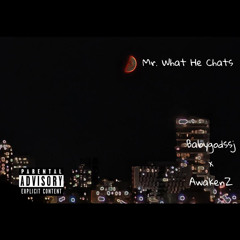 Mr. What he chats (prod. 4nunn)