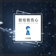 ChinaHouse - 小阿枫 - 别怕我伤心 - 2024(Dj小九 FunkyHouse Mix)
