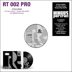 RT 002 PRO - Mingus Portrait (DJ Farrapo Remixes)