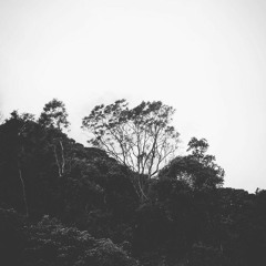 Chưa bao giờ - Hà Anh Tuấn