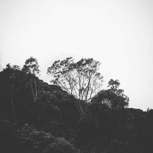 Chưa bao giờ - Hà Anh Tuấn