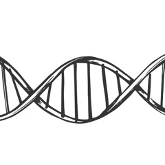 08_X1_Fusion_(Foundation)