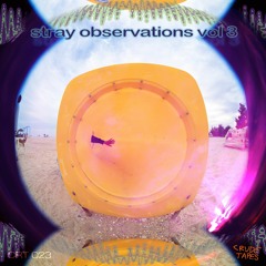 7 Mr Claw - Mystic Siren (plucking) [off Stray Observations Volume 3]
