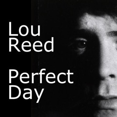 Lou Reed - Perfect Day (Markus Doerr Re-Edit)
