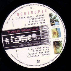 Neotropic - Neotropic (Leniz Bootleg) [Free Download]