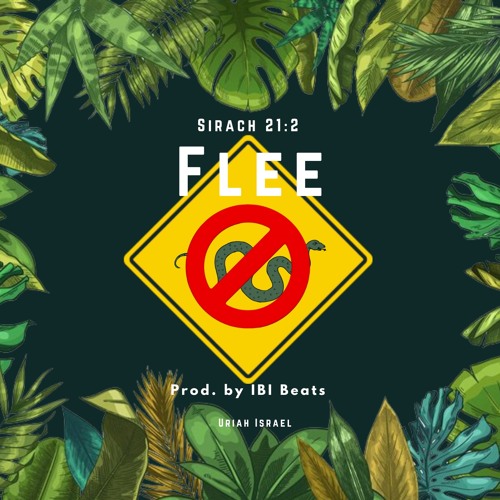 Flee (prod. By IBI Beats)