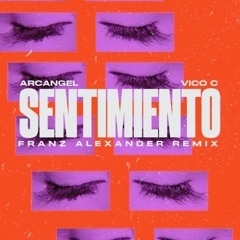 Arcangel, Vico C - Sentimiento (Franz Alexander Remix)  l FREE DL!!