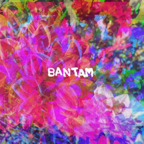 Bantam - psytrance mix