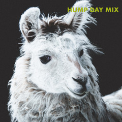 HUMP DAY MIX with Raar