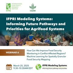 How Can We Improve Food Security Monitoring in Conflict-Affected Regions?