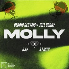 Molly (DJV Extended Remix)