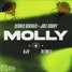 CEDRIC GERVAIS x JOEL CORRY - MOLLY (DJV EXTENDED REMIX)