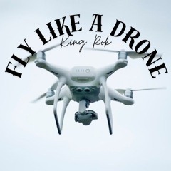 King Rok-Drone freestyle