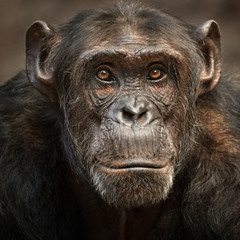 Dj Funny Richard [Hot Boy Summer]