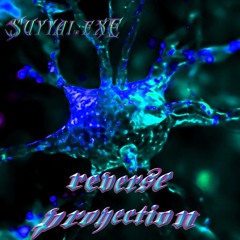 Reverse Proyection.wav