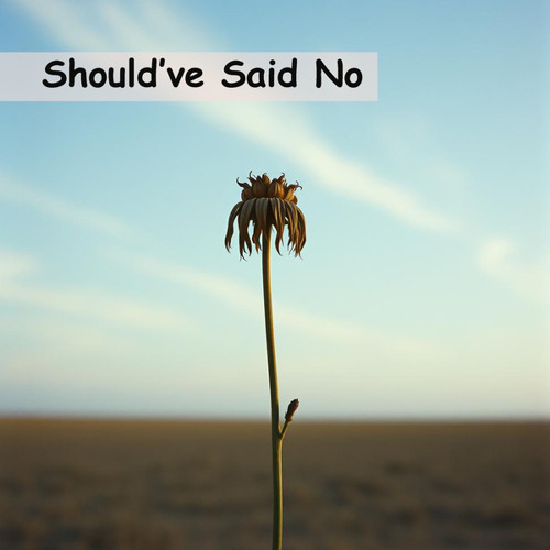 Should’ve Said No