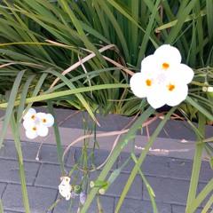 Dj Hixxy - Take Me To Heaven (Slowed)