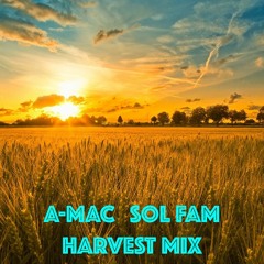 SolFam Harvest Mix