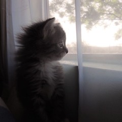 Back Around (prod. whyslow)