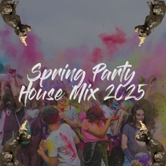 Spring Remix Party - House Mix 2025