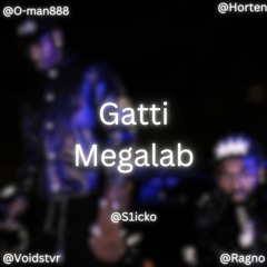 Gatti Megalab @S1icko @Voidstvr @O - Man888 @Ragno @Horten #Clubnoise #Web #LibertyWalkk