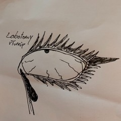 Lobotomy