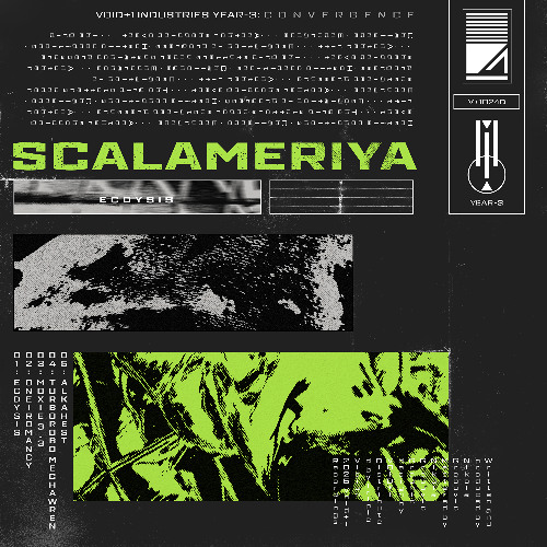 V+1024D 01 Scalameriya - Ecdysis (Original Mix)