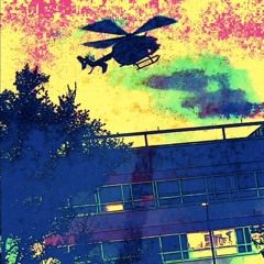 Landing